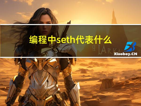 编程中seth代表什么的相关图片