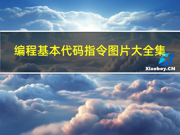 编程基本代码指令图片大全集的相关图片