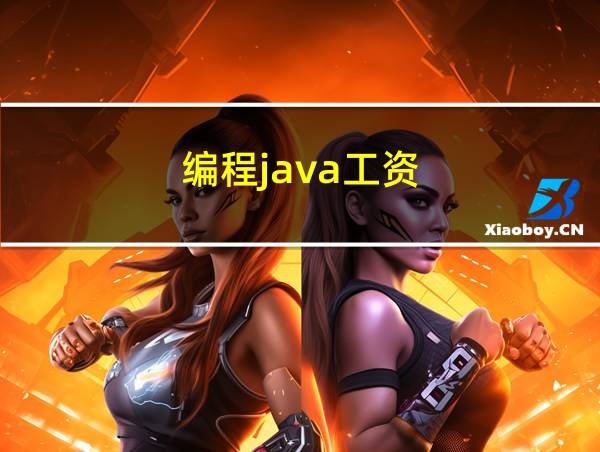 编程java工资的相关图片