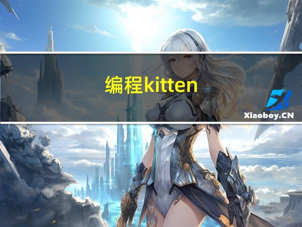 编程kitten的相关图片