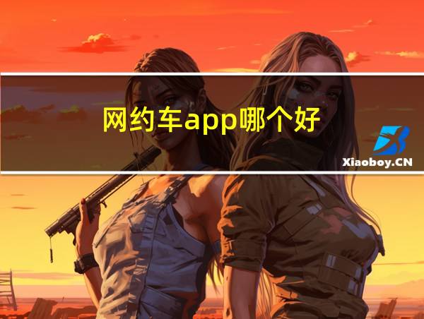 网约车app哪个好的相关图片