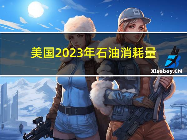 美国2023年石油消耗量的相关图片