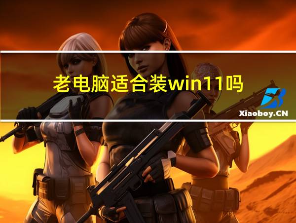 老电脑适合装win11吗的相关图片