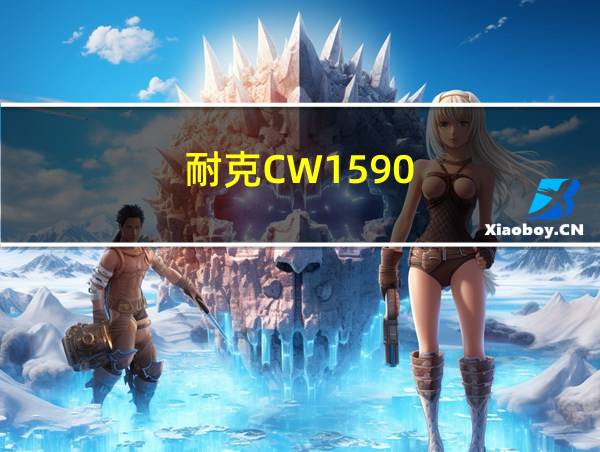 耐克CW1590-100多少钱的相关图片