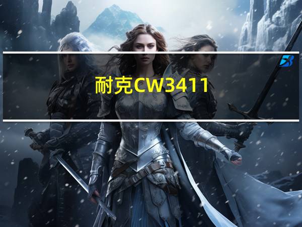 耐克CW3411-006鞋外侧标断裂的相关图片