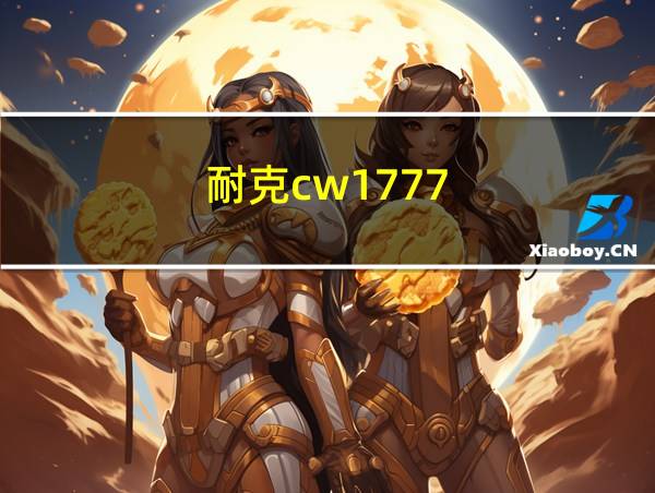 耐克cw1777-003测评的相关图片