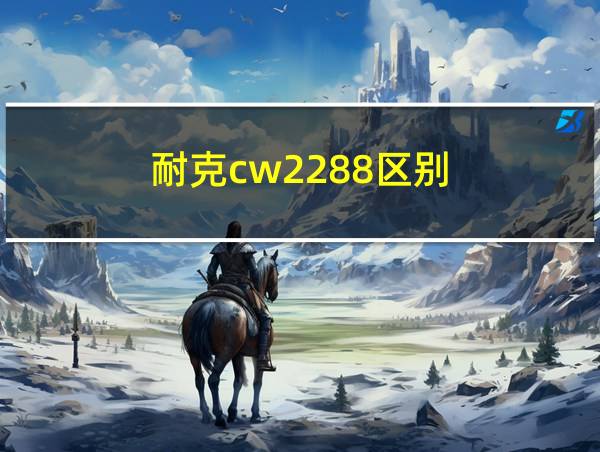 耐克cw2288区别的相关图片