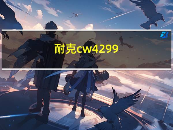 耐克cw4299的相关图片