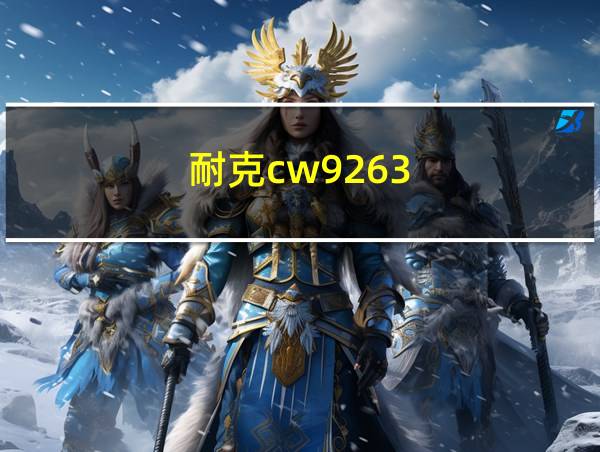 耐克cw9263-011的相关图片