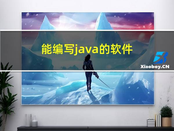 能编写java的软件的相关图片