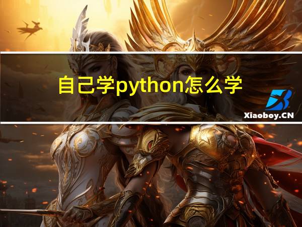 自己学python怎么学的相关图片