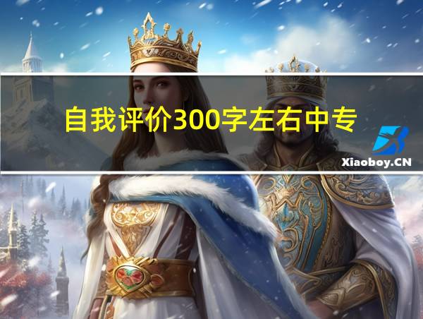 自我评价300字左右中专的相关图片