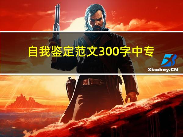 自我鉴定范文300字中专的相关图片