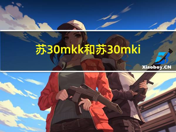 苏30mkk和苏30mki的相关图片