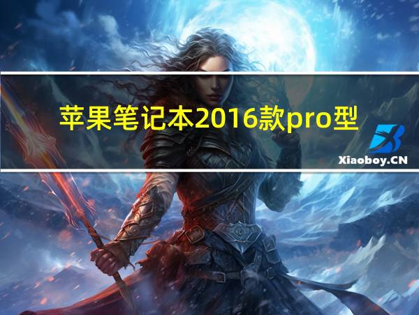 苹果笔记本2016款pro型号的相关图片