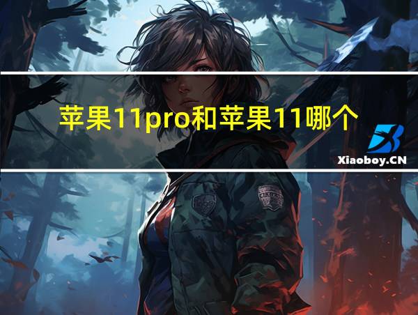 苹果11pro和苹果11哪个好的相关图片