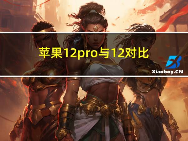 苹果12pro与12对比的相关图片