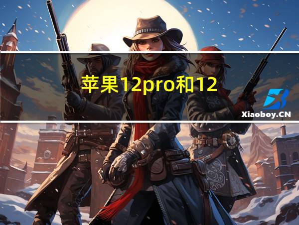 苹果12pro和12的相关图片