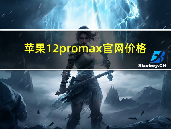 苹果12promax官网价格的相关图片