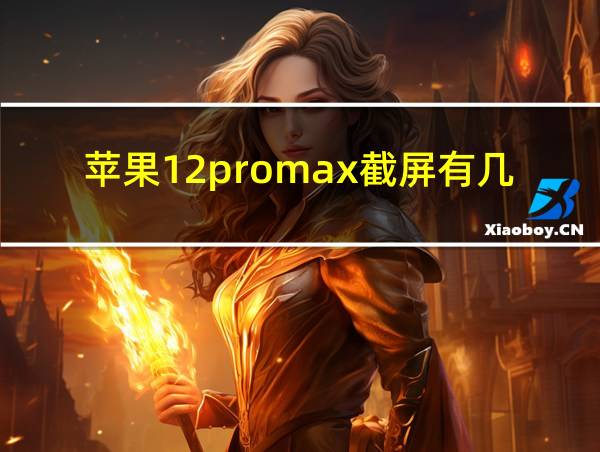 苹果12promax截屏有几种方法的相关图片