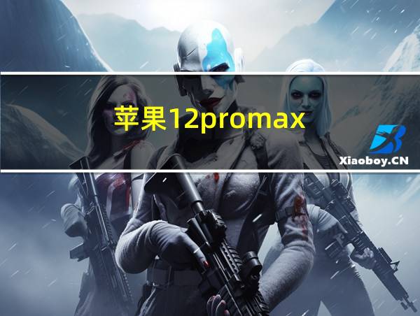 苹果12promax的相关图片