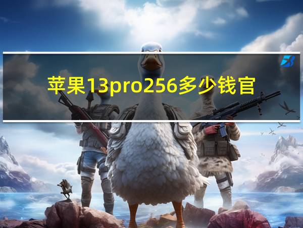 苹果13pro256多少钱官方的相关图片