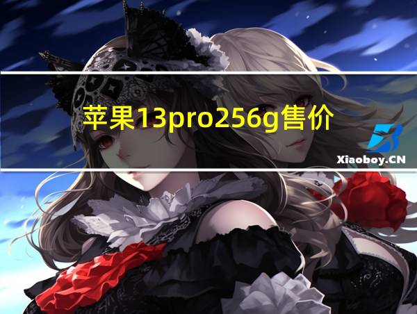 苹果13pro256g售价的相关图片