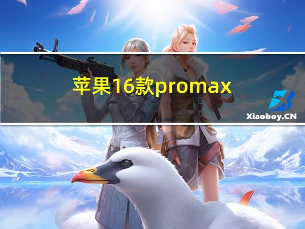 苹果16款promax的相关图片