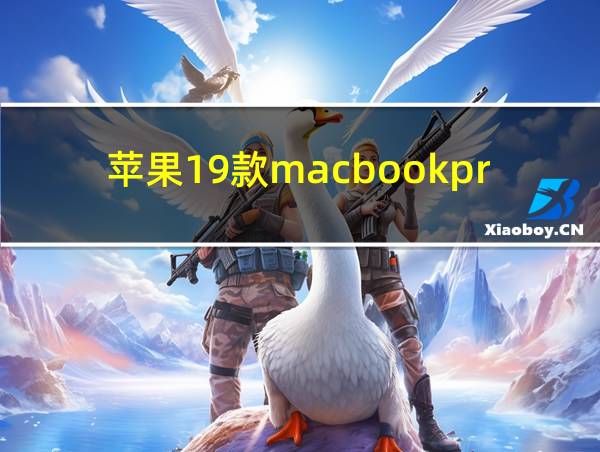 苹果19款macbookpro的相关图片