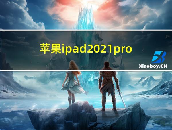 苹果ipad2021pro的相关图片