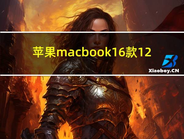 苹果macbook16款12寸的相关图片