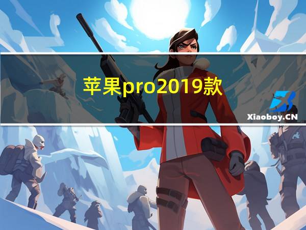 苹果pro2019款的相关图片