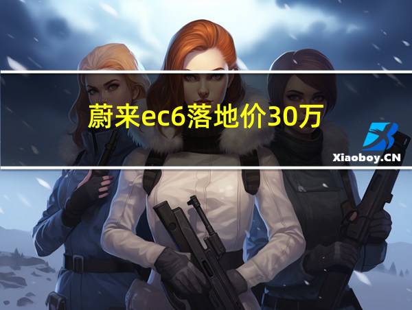 蔚来ec6落地价30万的相关图片