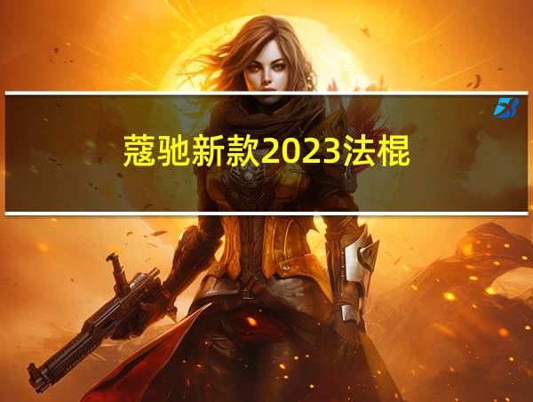 蔻驰新款2023法棍的相关图片