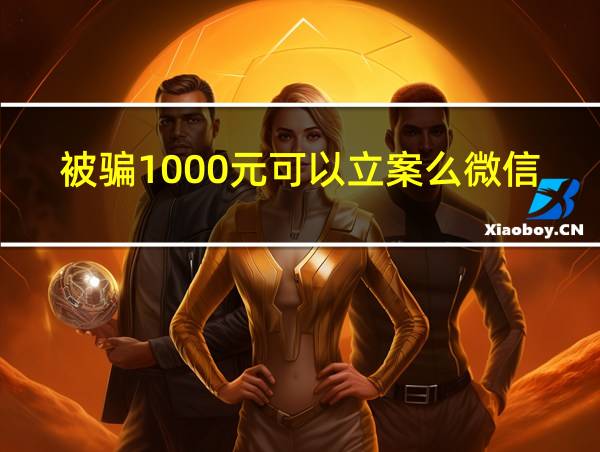 被骗1000元可以立案么微信的相关图片