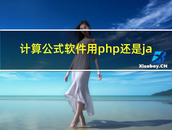 计算公式软件用php还是java的相关图片