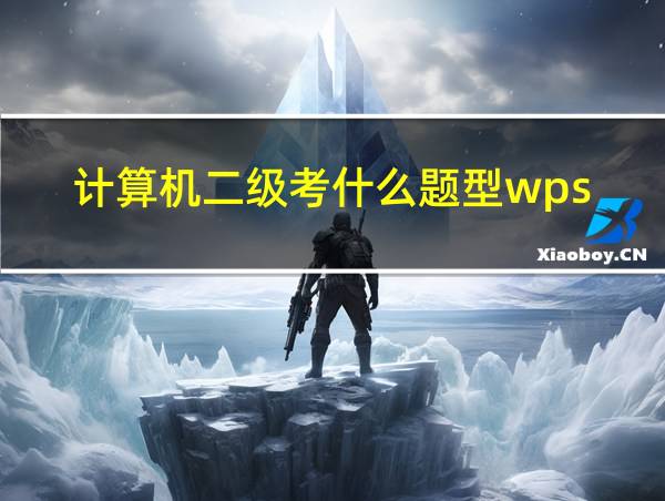 计算机二级考什么题型wps的相关图片