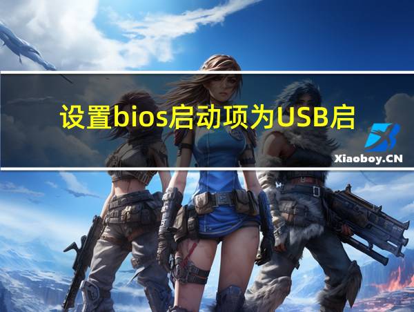 设置bios启动项为USB启动的相关图片