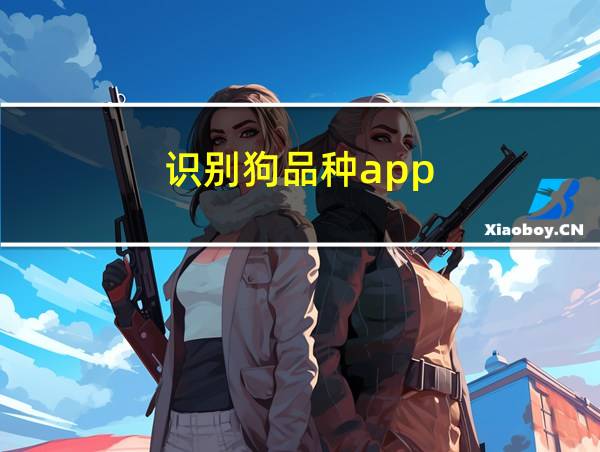 识别狗品种app的相关图片