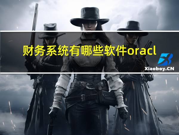 财务系统有哪些软件oracle的相关图片