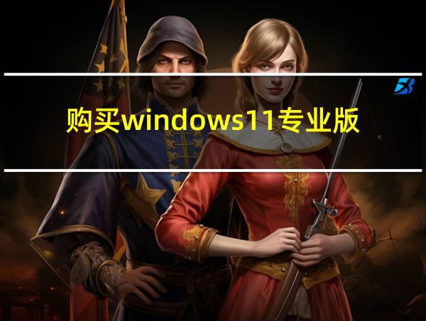 购买windows11专业版的相关图片