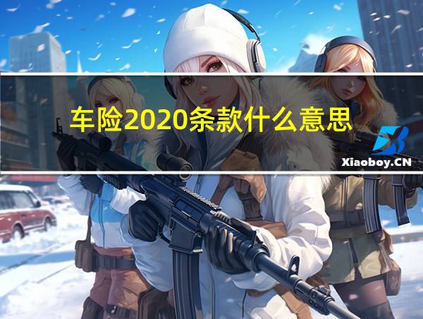 车险2020条款什么意思的相关图片