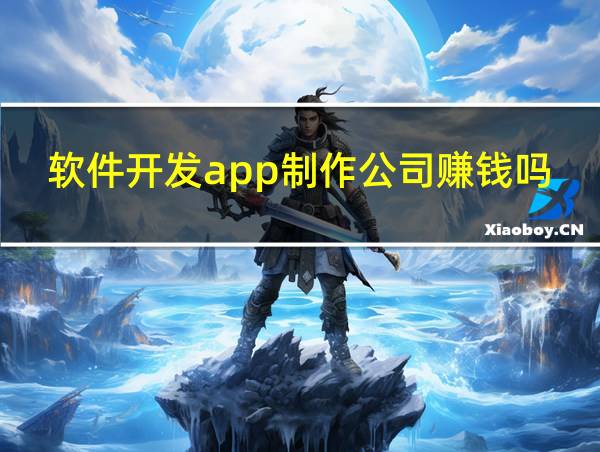 软件开发app制作公司赚钱吗的相关图片