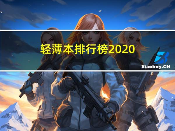 轻薄本排行榜2020的相关图片