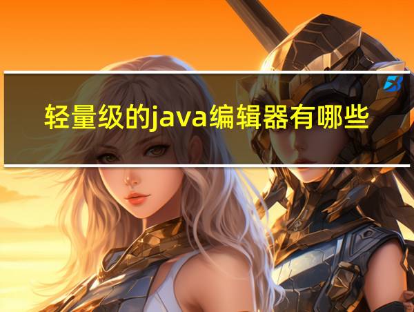 轻量级的java编辑器有哪些的相关图片