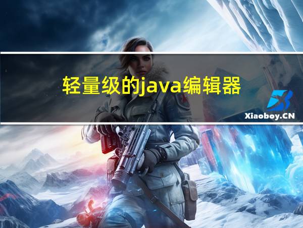 轻量级的java编辑器的相关图片