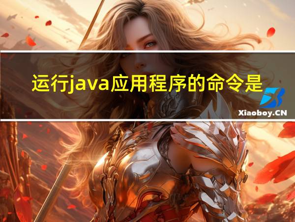 运行java应用程序的命令是什么的相关图片