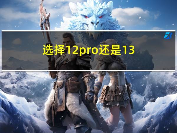 选择12pro还是13的相关图片