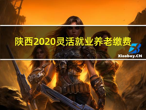 陕西2020灵活就业养老缴费标准的相关图片