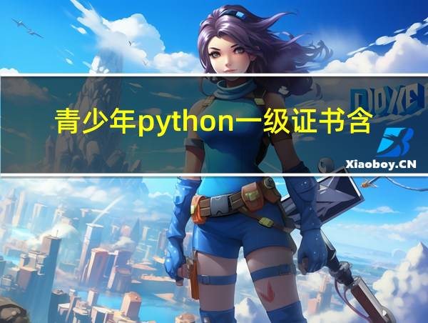 青少年python一级证书含金量的相关图片